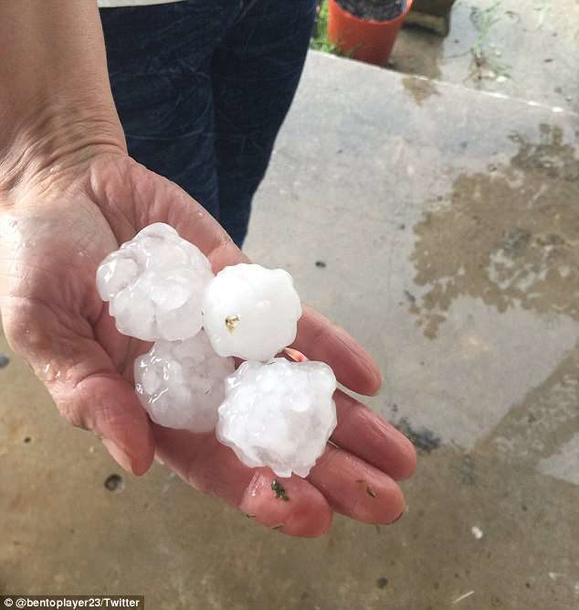 The ice storm only lasted 10 minutes, but hailed down with fury, covering the ground in white