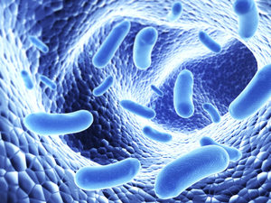 microbiome