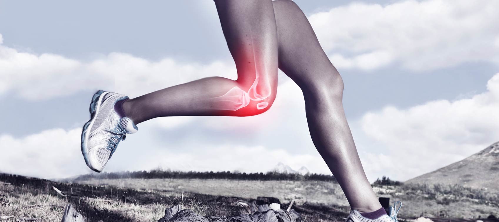 Hyaluronic acid, knee joint lubrication