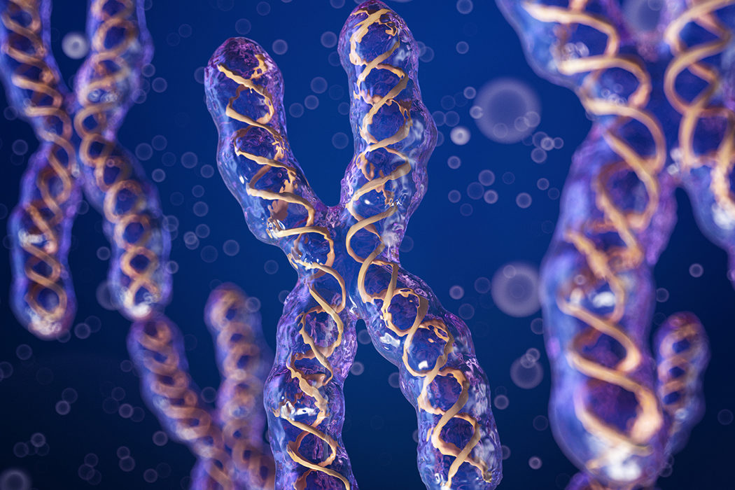 X chromosomes