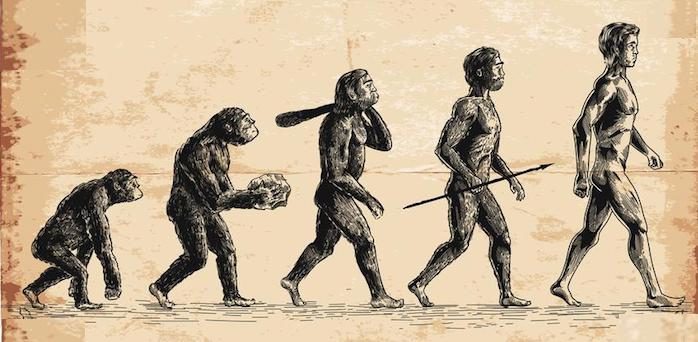 Ape to Man