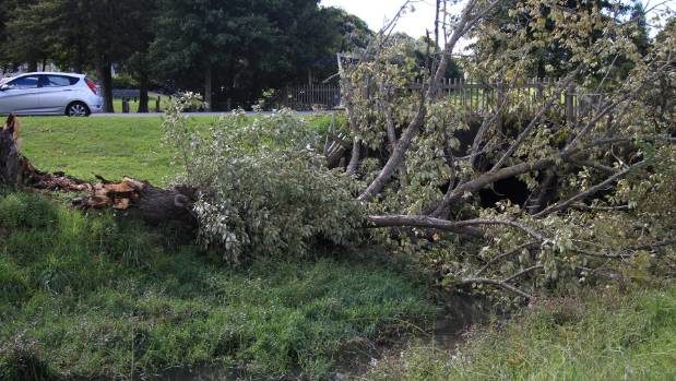 New Zealand storm