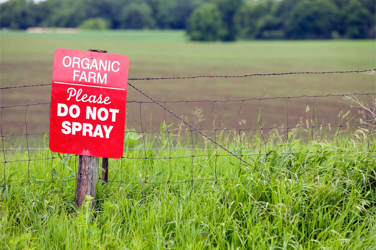organic agriculture