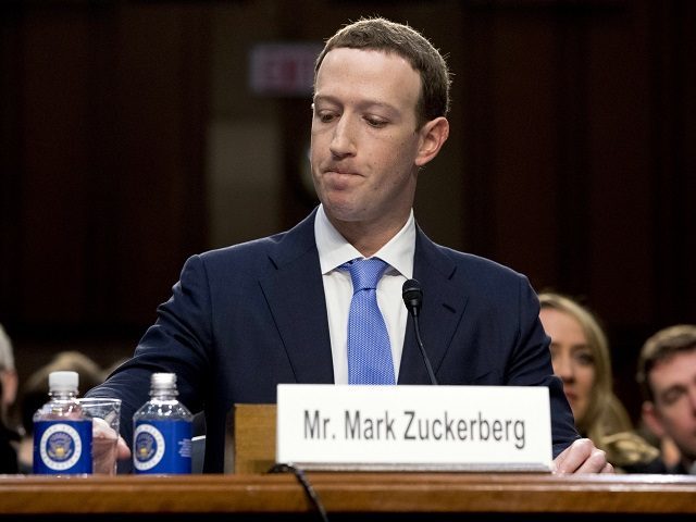 Click to enlarge Zuckerberg