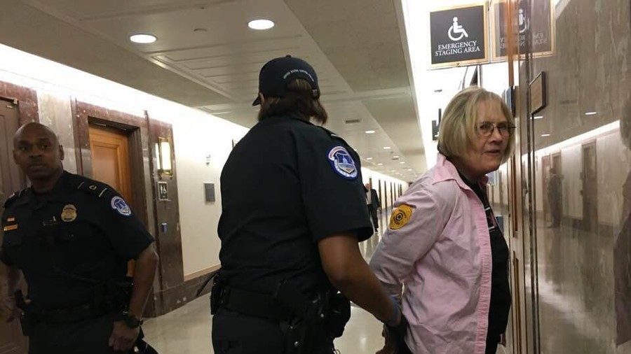 Code Pink protester