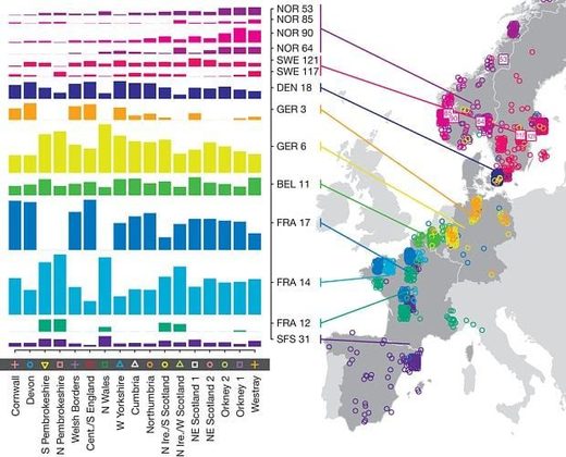 Europe DNA map