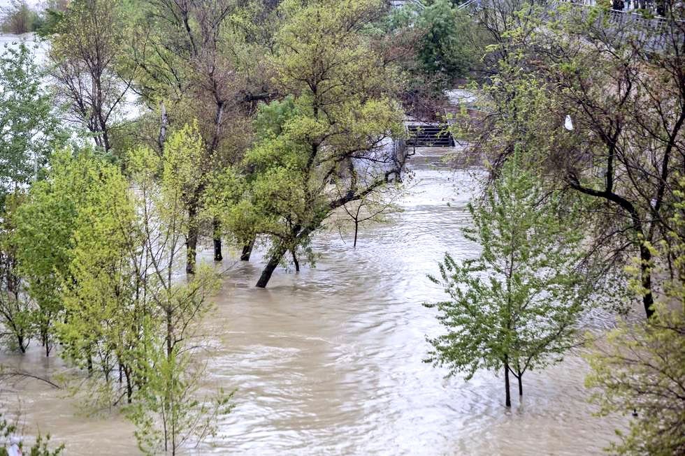flood