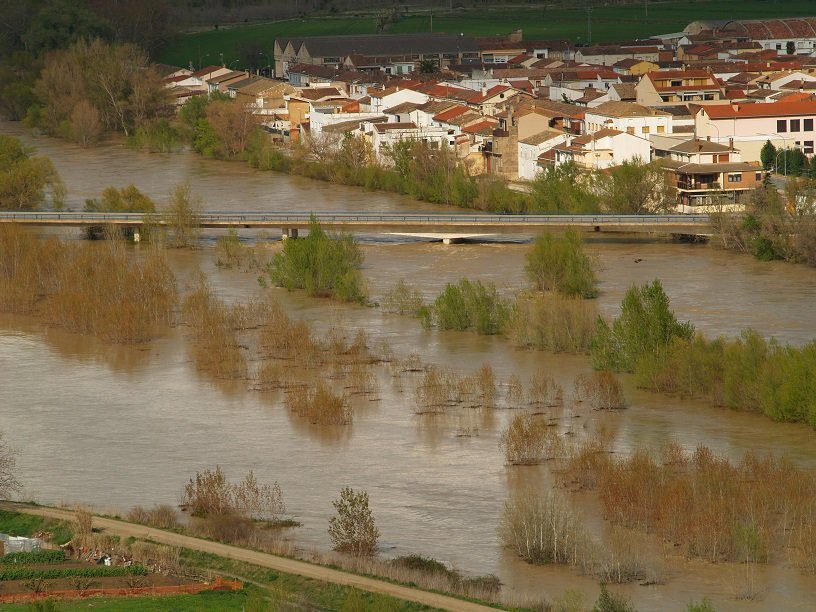 Click to enlarge Puente de Caparroso