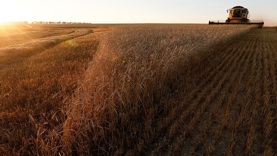 Click to enlarge Farming