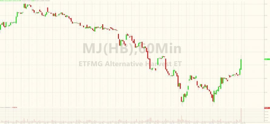Click to enlarge Marijuana stocks chart