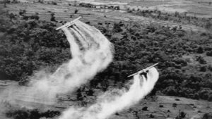 agent orange vietnam