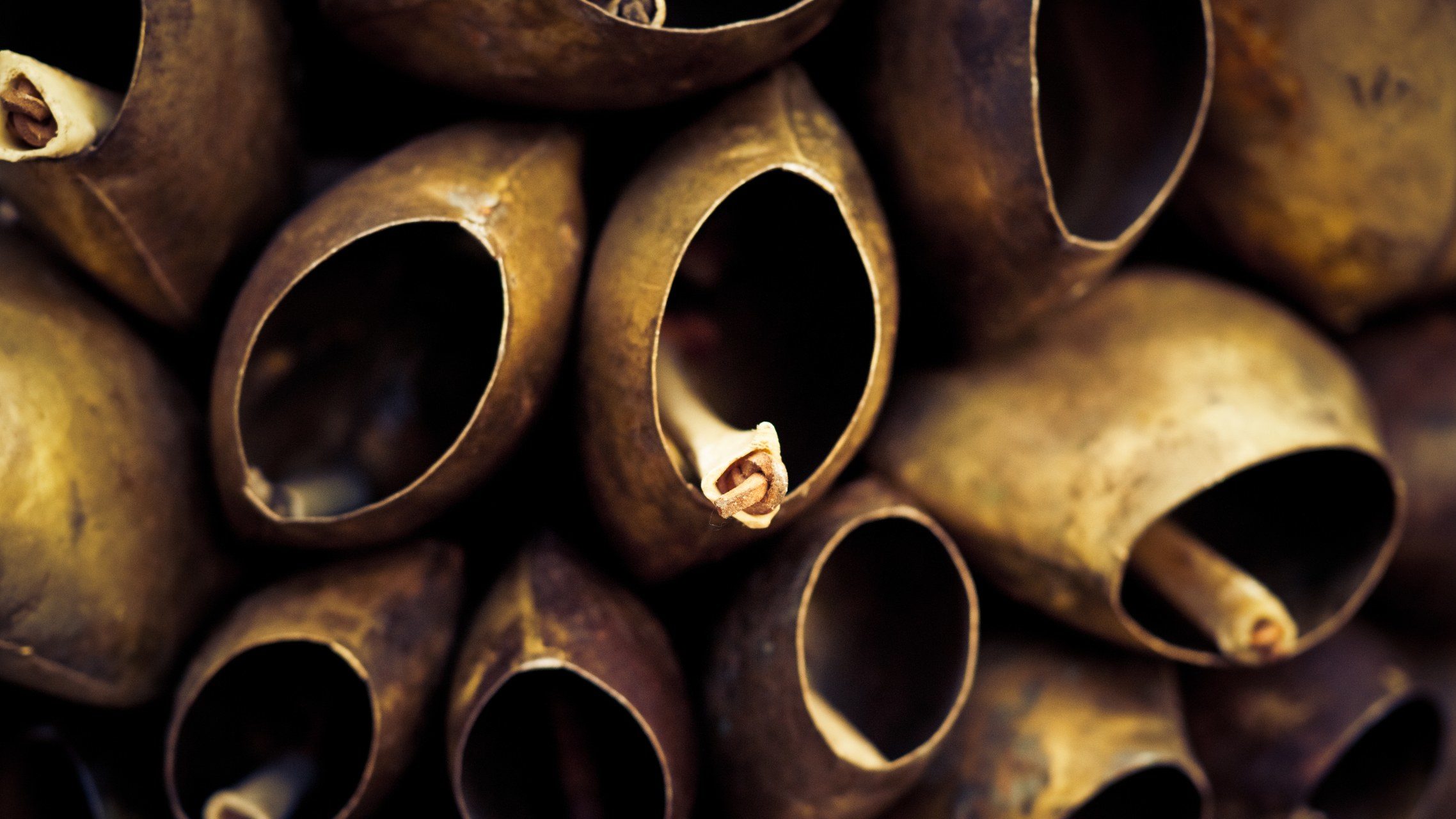 Click to enlarge The mamuthones are each weighed down by up to 65 pounds of cowbells,