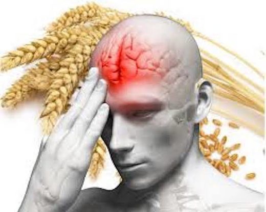 gluten brain