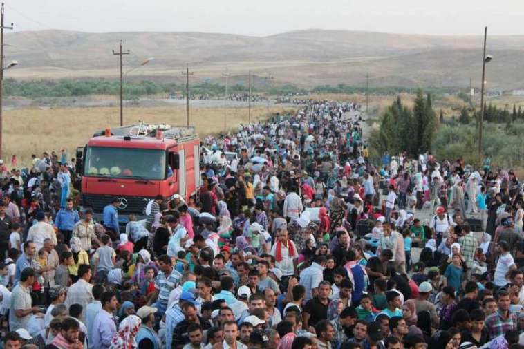 refugees immigrants