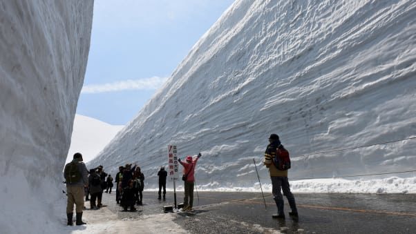 Click to enlarge The stunning snow corridor in Yuki no Otani