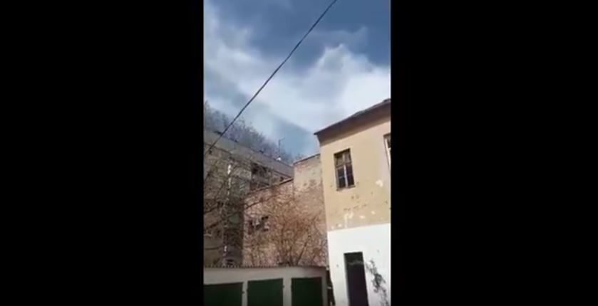Trumpeting sounds in Croatia