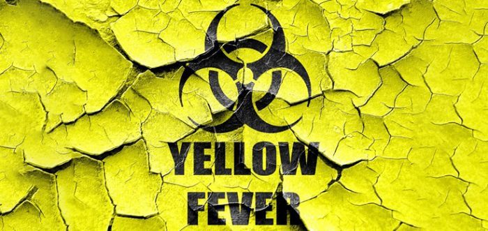 yellow fever hazard