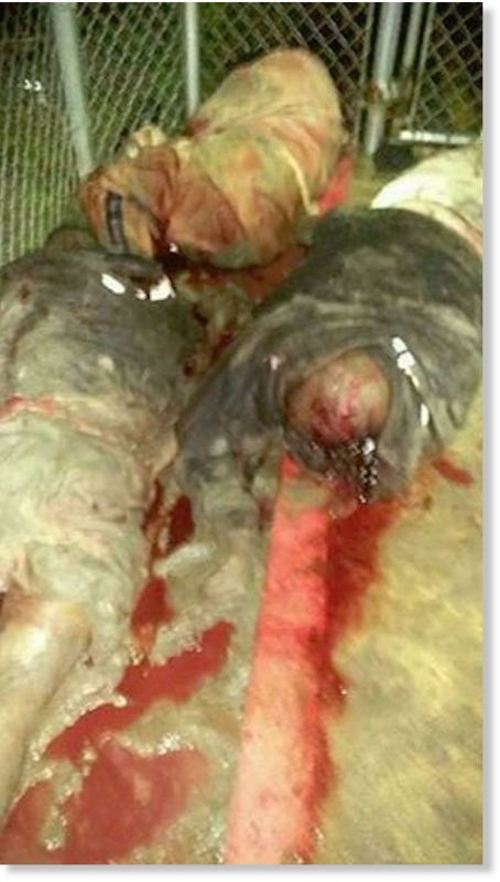 Click to enlarge prison carnage 7