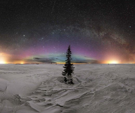 Click to enlarge Lonely tree