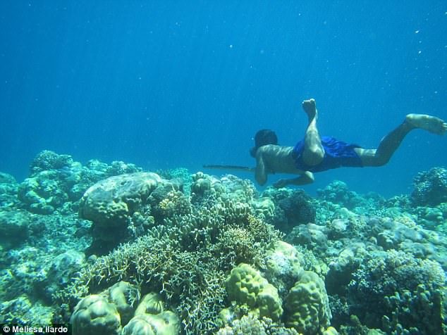 Indonesian diver