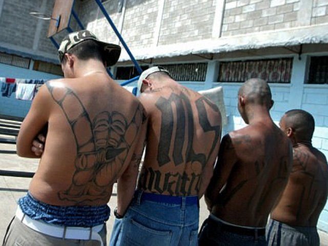 Click to enlarge MS-13 members