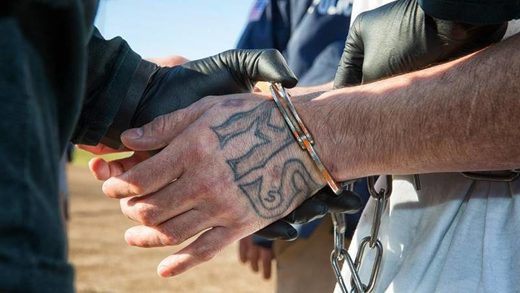 Click to enlarge MS-13 arrest