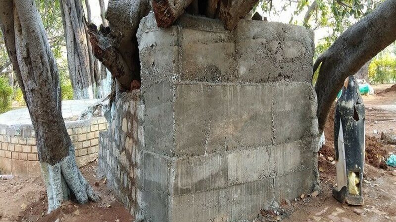 banyan tree 700