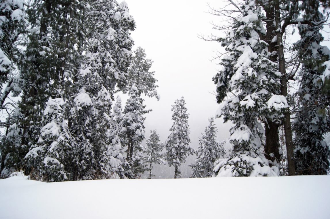 snow