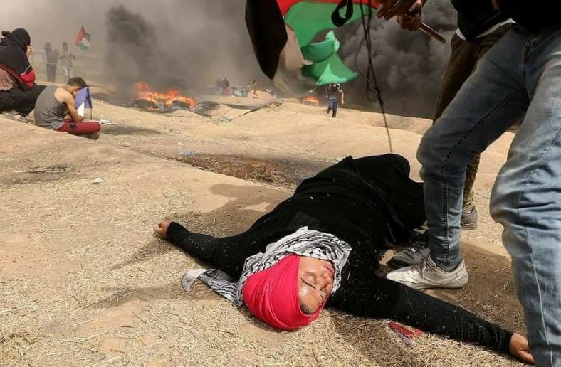 Click to enlarge Four Palestinians have been killed and 650 others injured