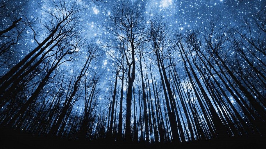 Click to enlarge winter solstice celebration
