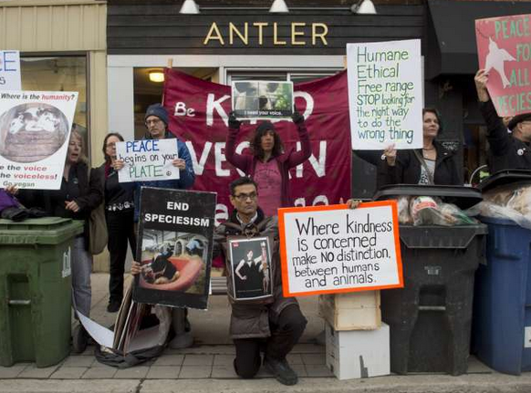 Click to enlarge A group of animal rights protesters hold signs on the sidewalk in front of Antler Kitchen and Bar in Toronto on April 12.