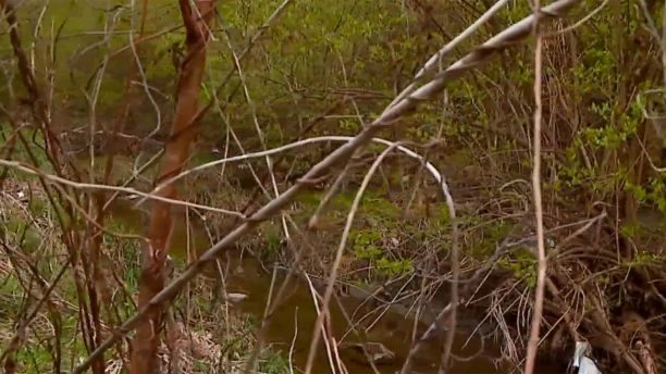 human remains creek