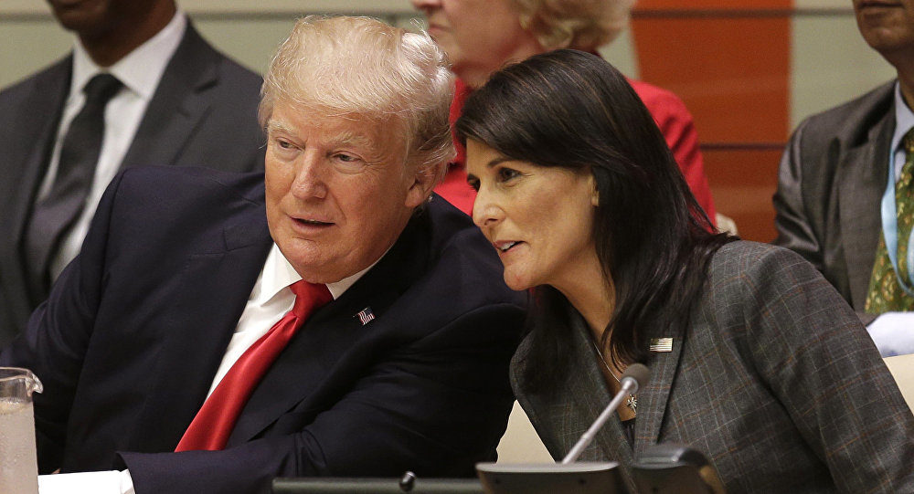 trump haley
