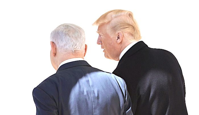 Click to enlarge Trump Net