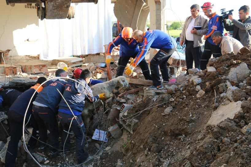 Click to enlarge earthquake turkey 2018 april