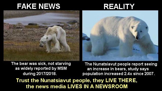 fake news polar bear starvation