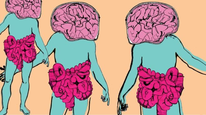 Click to enlarge gut-brain