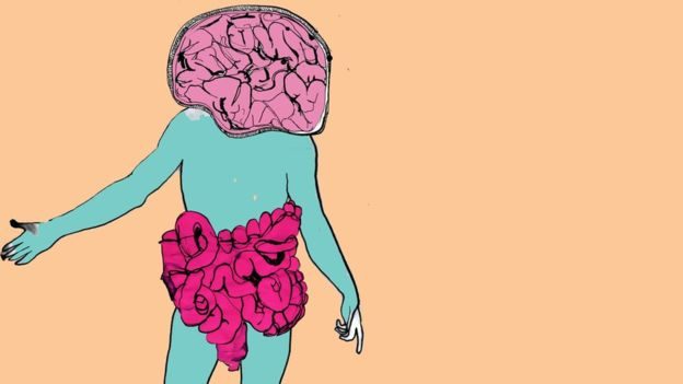 Click to enlarge gut-brain