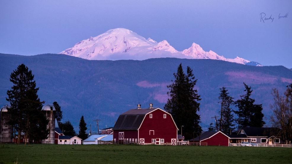 Mt. Baker shows off its massive coat of snow as seen from Lyden, Wash.