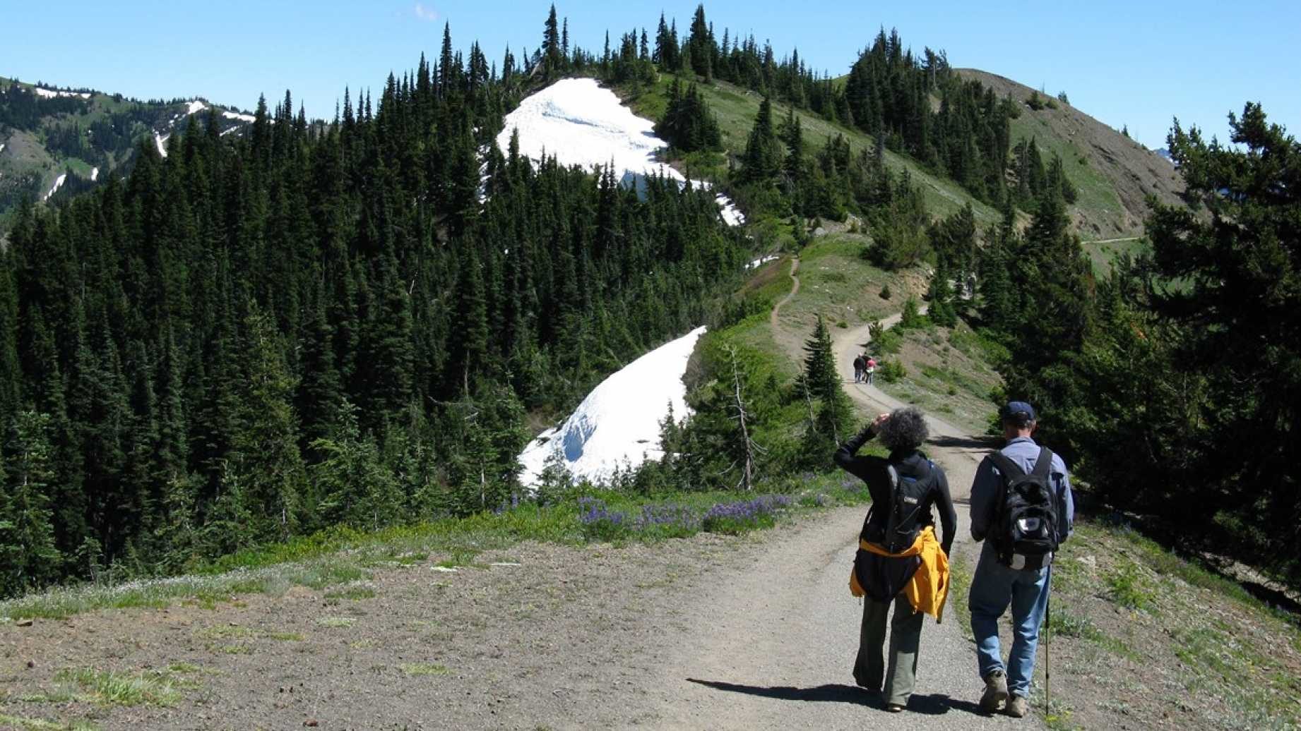 outdoor scene nature mountain