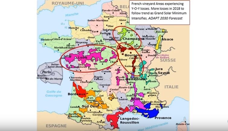 predicted french vineyard losses