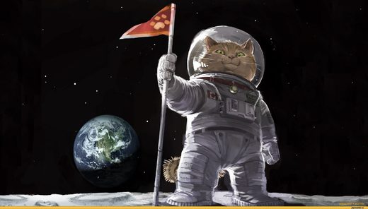 Click to enlarge Maine Coon Mine Moon