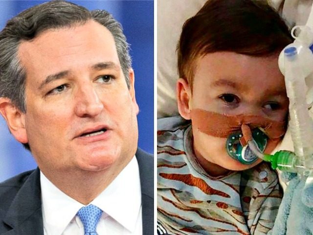 Ted Cruz Alfie Evans
