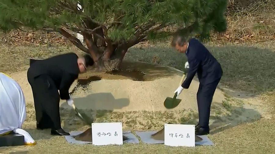 moon kim tree