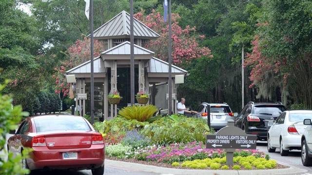 Dead dogs found in SC home