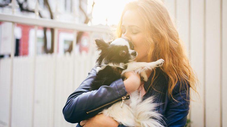 Click to enlarge Emotional support animal