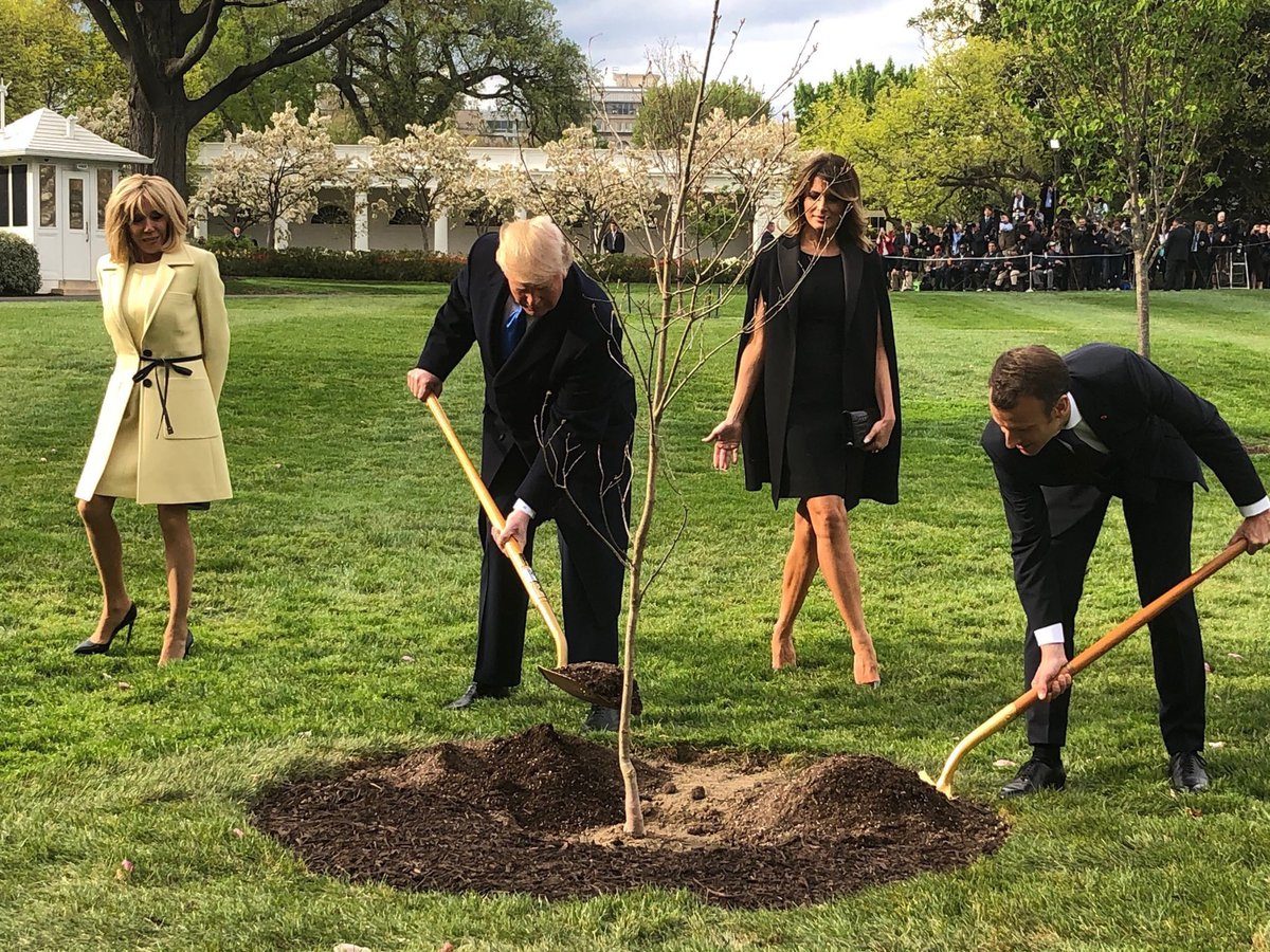 Trump and Macron