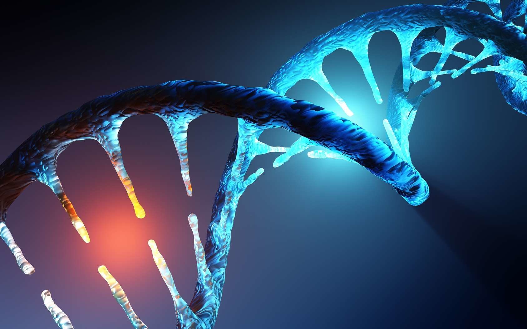 DNA gene