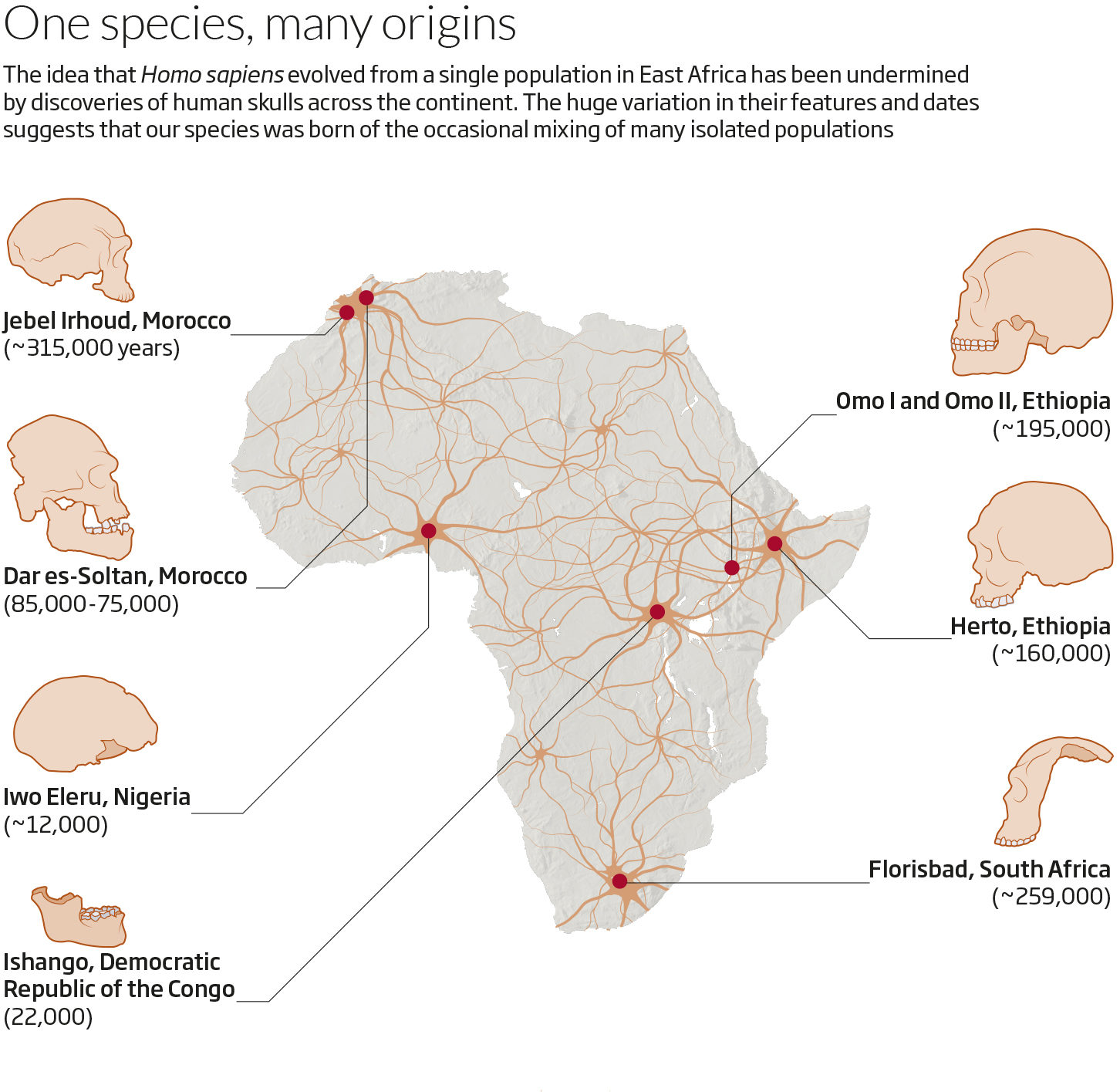 human origins africa species