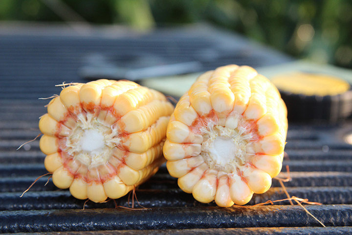 corn
